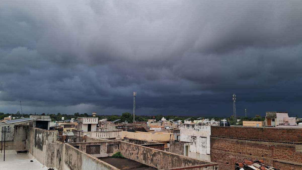 Gujarat Weather Update (52)