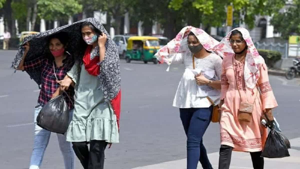 Gujarat Weather Update (54)