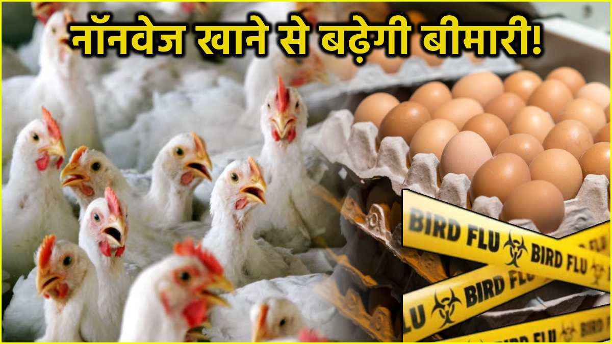 Bird Flu Outbreak in India: अंडा-चिकन खाना सेफ या नहीं, जानें क्या कहते हैं एक्सपर्ट