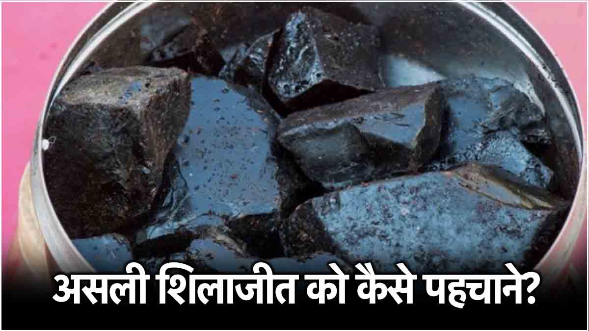 Shilajit Benefit