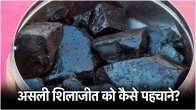 Shilajit Benefit