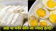 Egg vs Paneer