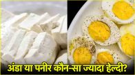 Egg vs Paneer