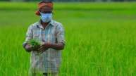 India This State Govt Gives Subsidy on Buying Farmland