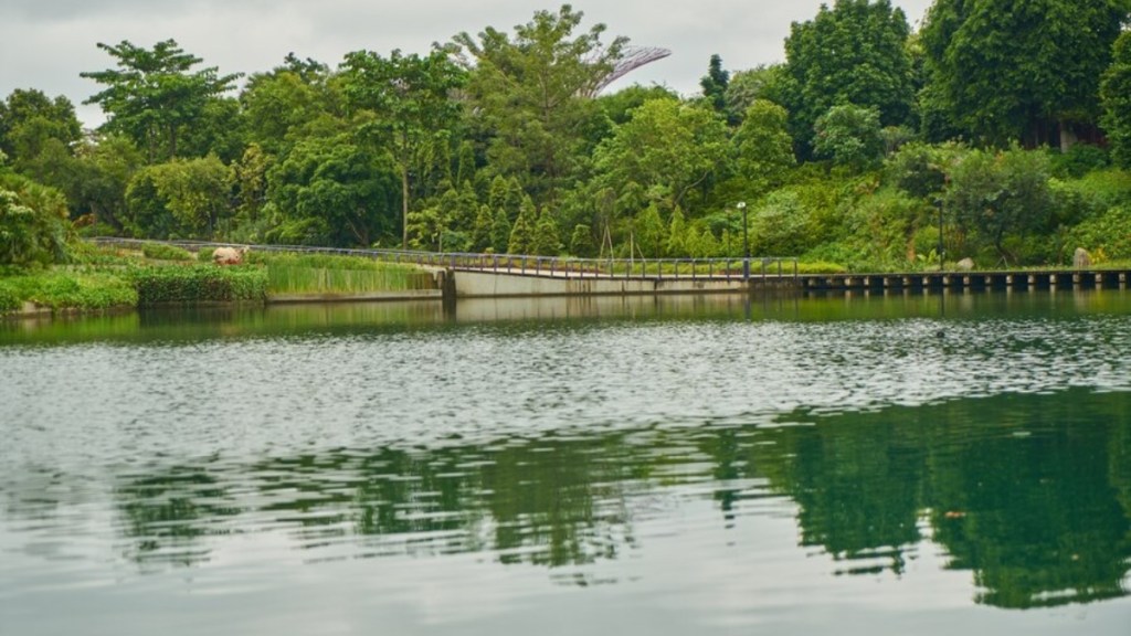 Kukkarahalli Lake