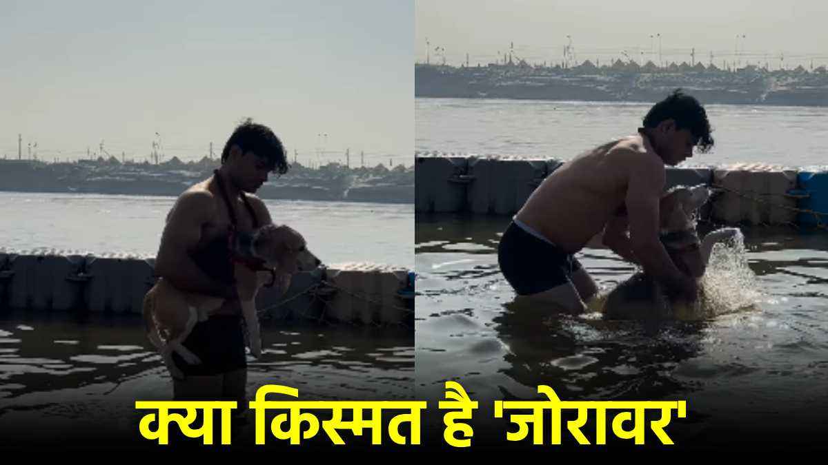 Mahakumbh Dog Holy Snan Video Viral