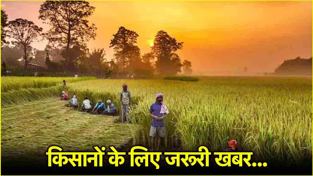 PM Kisan Yojana: अगली बार न करें ये गलती! 20वीं किस्त से पहले निपटा लें जरूरी काम