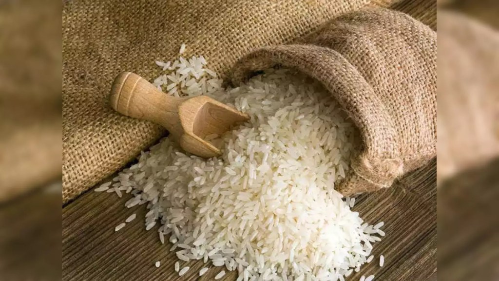 Rice