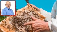 Subsidy Scheme For Increasing Beekeeping