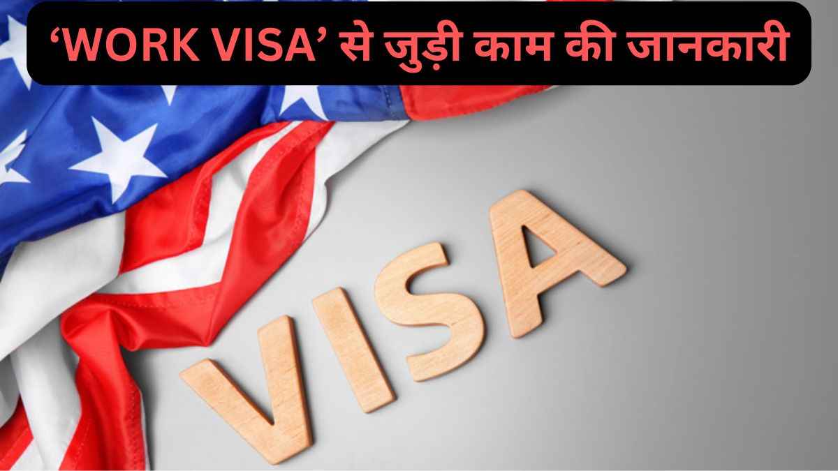 अमेरिका में सेटल होने के दो ऑप्शन! नौकरी के अलावा कर सकते हैं खुद का बिजनेस