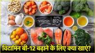 Vitamin B-12 Foods