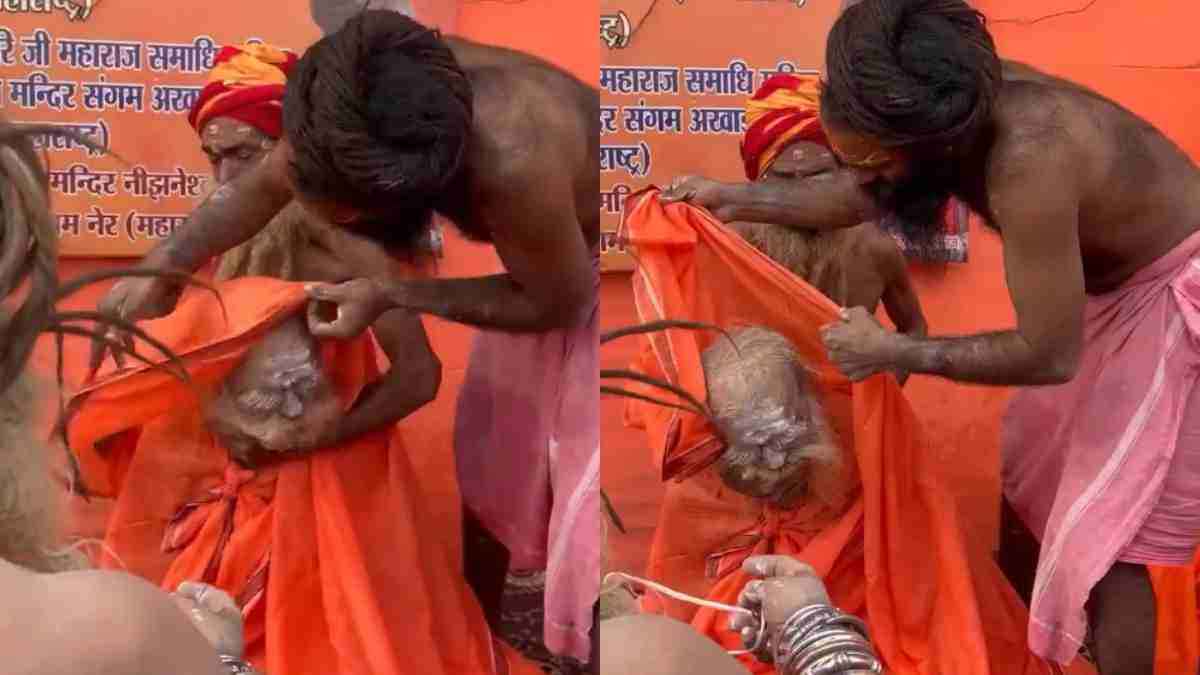 Mahakumbh Viral Video