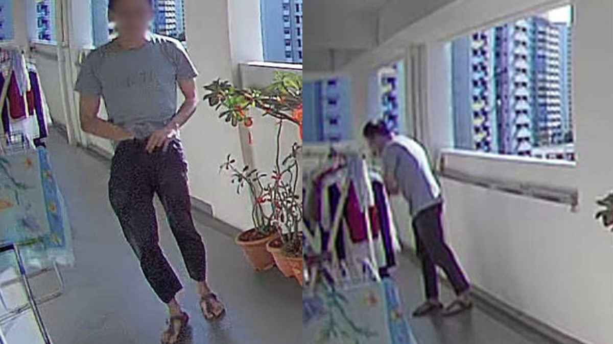 कैमरे में कैद हुआ महिलाओं के अंडरगारमेंट चुराने वाला चोर, घिनौनी हरकत का वीडियो वायरल