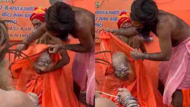 Mahakumbh Viral Video