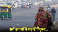 Delhi NCR Cold Wave