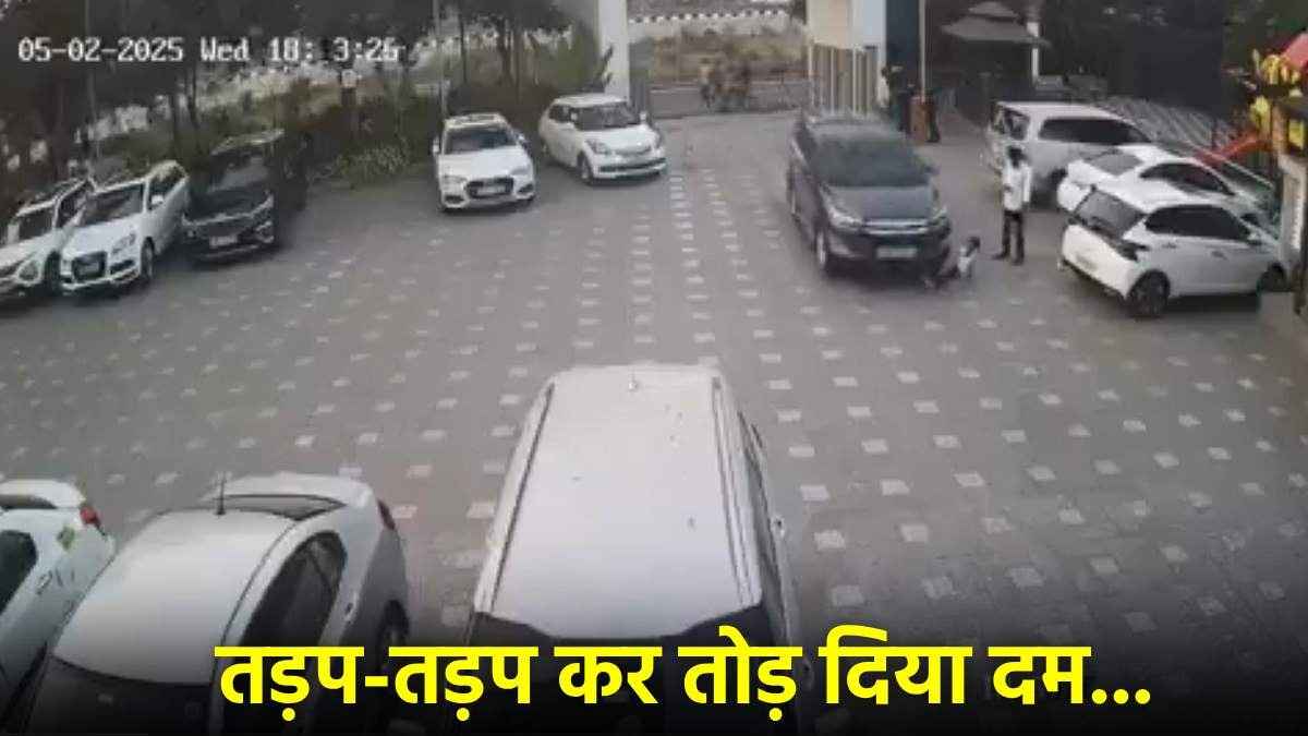 बच्चे को कुचलने का भयानक वीडियो; महाराष्ट्र के नासिक में हुआ हादसा देखकर निकल जाएगी चीखें