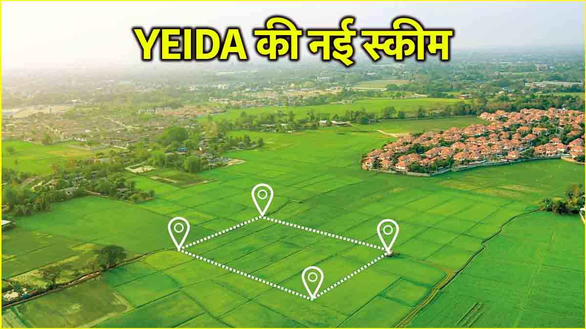 नोएडा के इस सेक्टर में निकलने वाले हैं प्लॉट! जानें क्या है YEIDA की योजना?