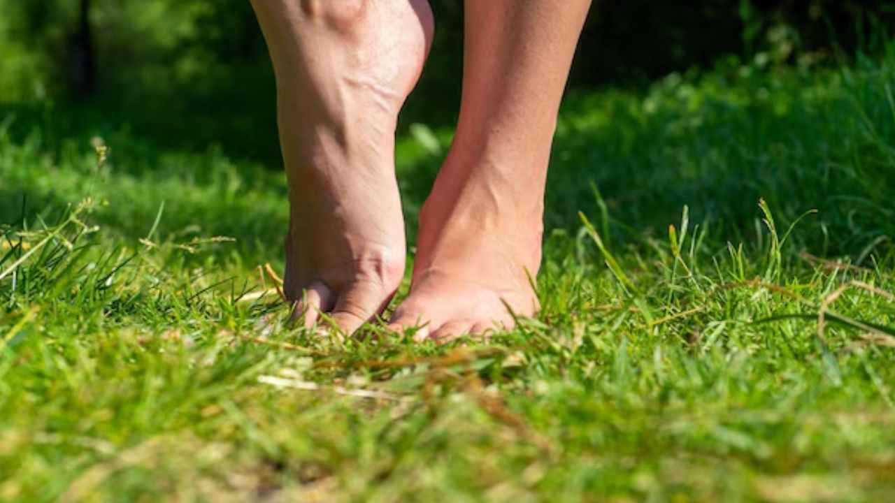 Walking Benefits: सुबह नंगे पैर घास पर चलने के होते हैं ये 3 फायदे, जानें क्या कहते हैं योगा एक्सपर्ट