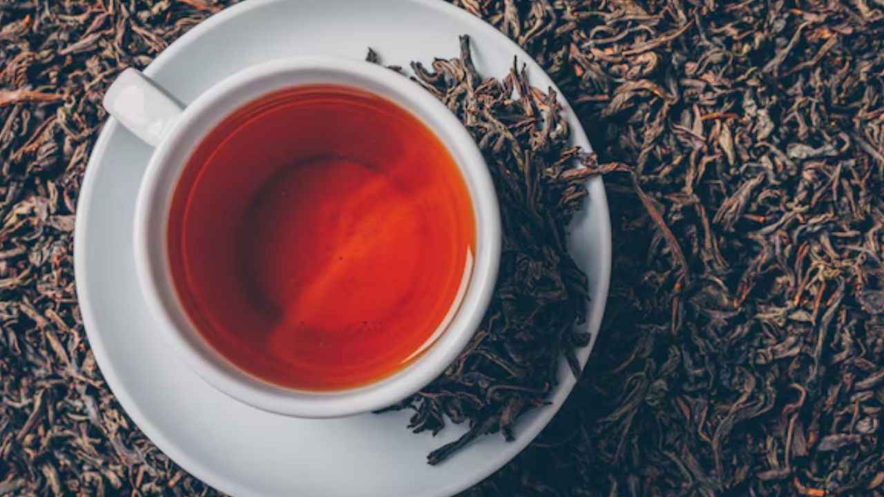 Tea Quality Check: आपकी चाय पत्ती मिलावटी तो नहीं? इन 3 आसान तरीकों से करें चेक