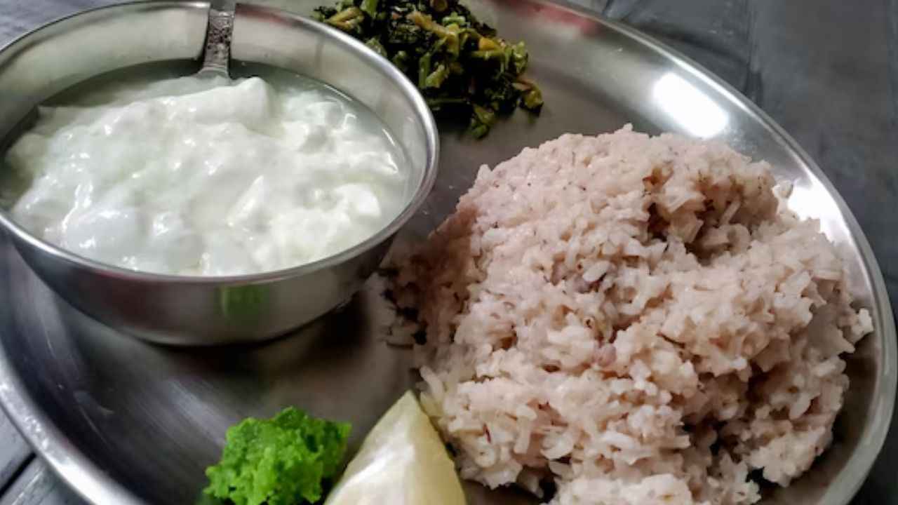 Health Tips: दही के साथ चावल ज्यादा हेल्दी या रोटी? जानें डाइजेशन के लिए कौन-सा ऑप्शन सही