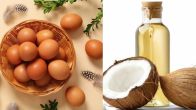 Egg vs Coconut Oil