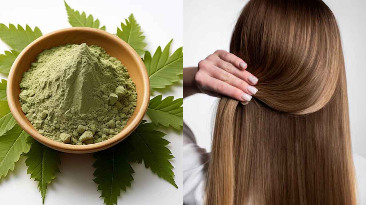Hair Care Tips: बालों में मेहंदी लगाने के स्टेप बाय स्टेप 6 तरीके, एक नहीं मिलेंगे कई फायदे