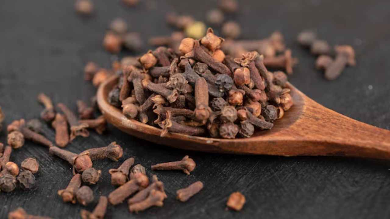 Health Tips: हर रोज इस चीज को चबाकर खाने के होते हैं ये 5 फायदे! दांतों से लेकर पेट तक रहता है हेल्दी