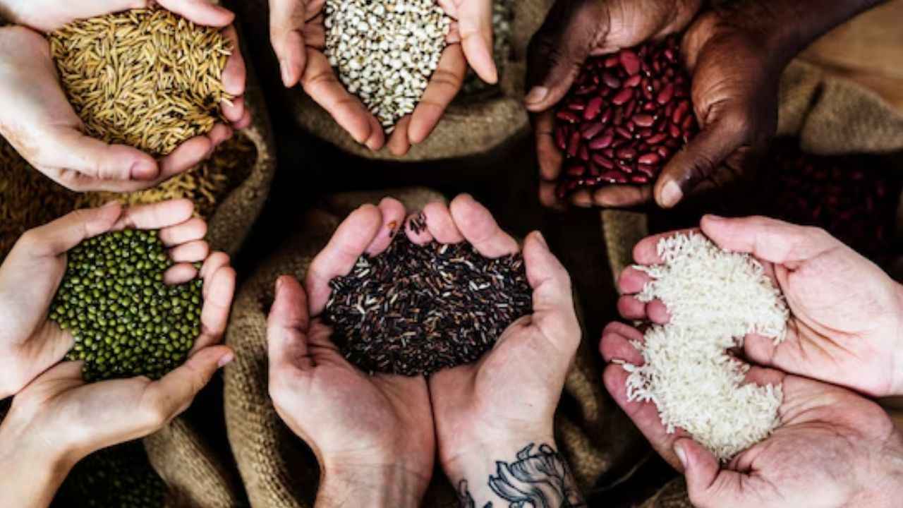 Health Tips: सुबह की डाइट में शामिल करें ये 3 सीड्स, पेट से लेकर हार्ट तक रहेंगे हेल्दी