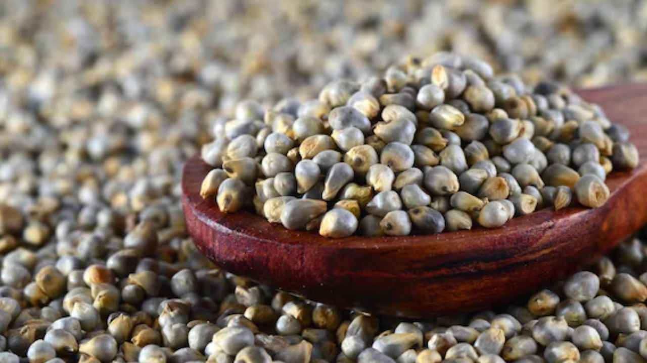 Weight Loss Tips: वजन कम करने में मदद करेगा बाजरा, इन 3 तरीकों से करें डाइट में शामिल