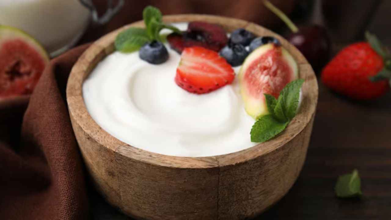 Yoghurt Benefits: क्या आपने कभी लिया है इन 5 तरह की दही का लुफ्त? जानें इनके नाम