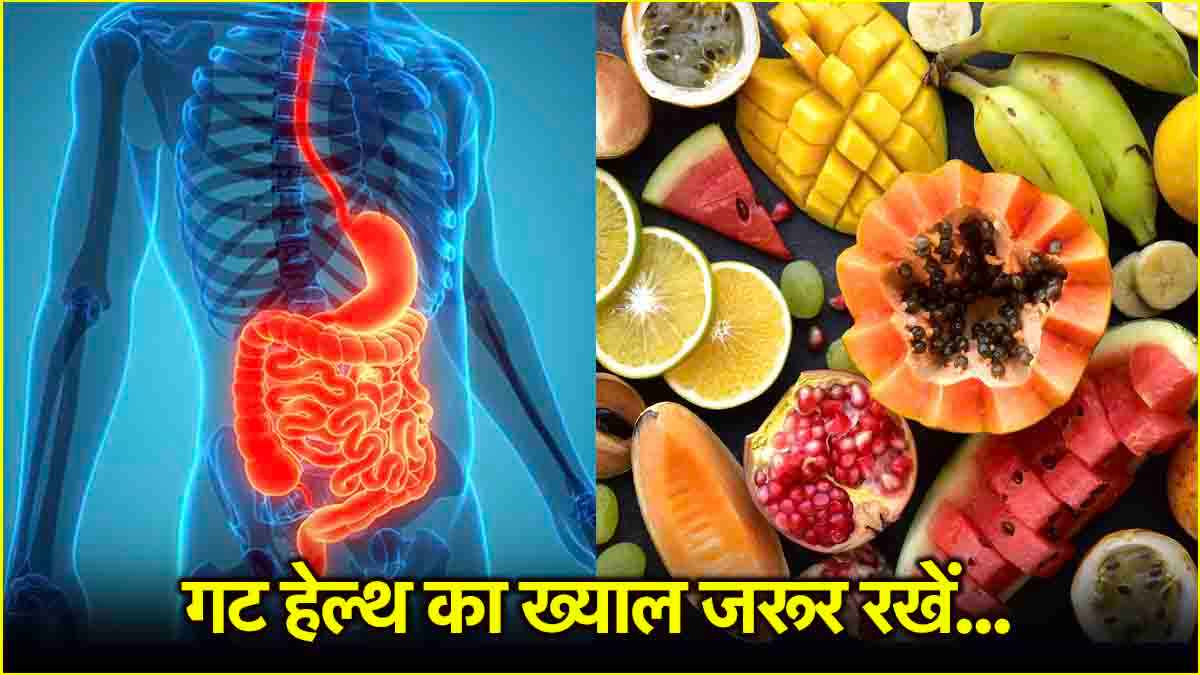 Gut Health के बारे में कितना जानते हैं आप?  सही रखने के लिए जरूर खाएं ये 3 तरह के फाइबर सोर्स