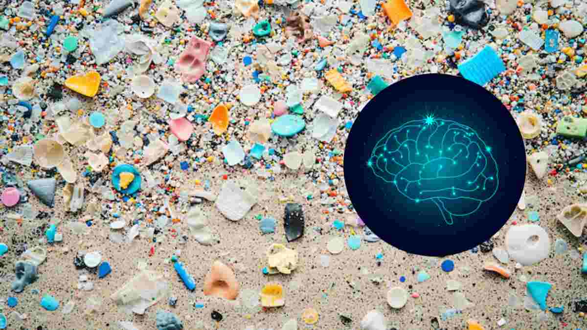 Microplastics effect on brain,