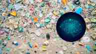 Microplastics effect on brain,