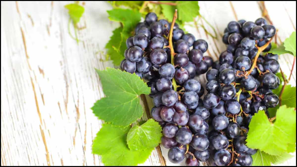 Black grapes benefits-1-2-3-4-5-6-7-8