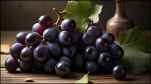 Black grapes benefits