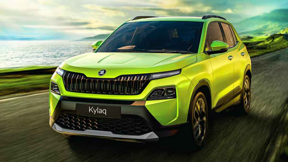 skoida front