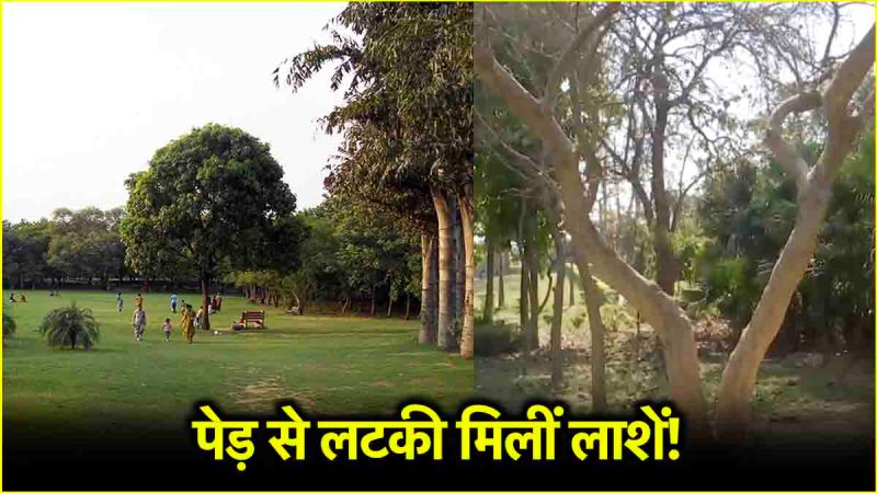 Delhi Deer Park Case