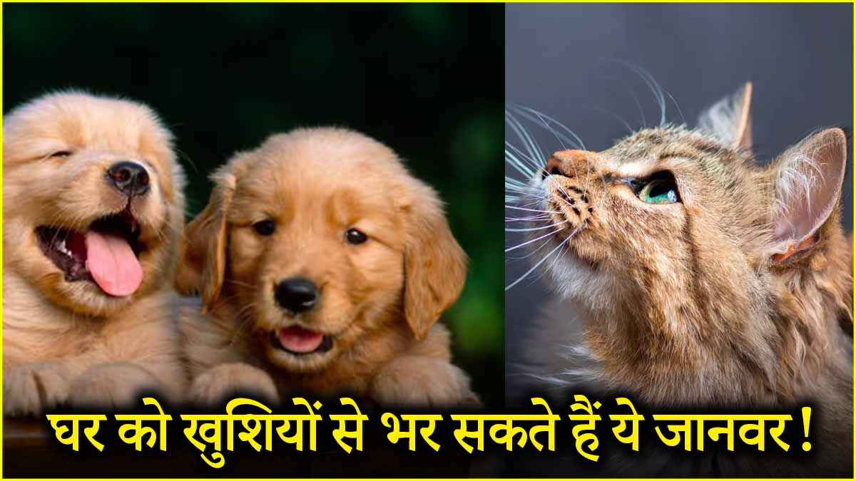 vastu shastra