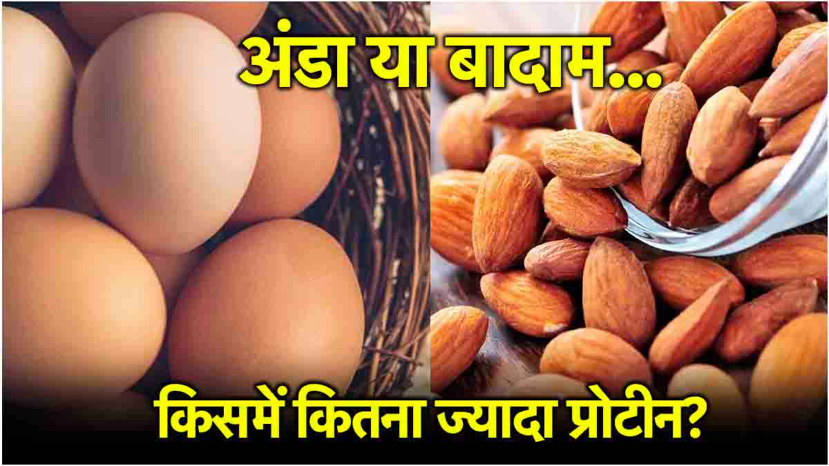 Eggs vs Almond