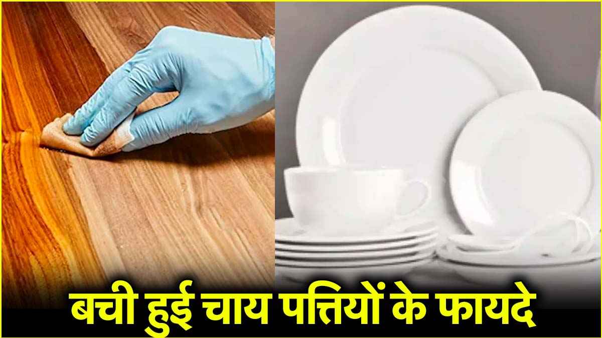 Used Tea Leaves Benefits: फेंकें नहीं, अपनाएं इस्तेमाल की हुई चाय पत्तियां, किचन से लेकर हेयर केयर तक करेंगी जादू सा असर!