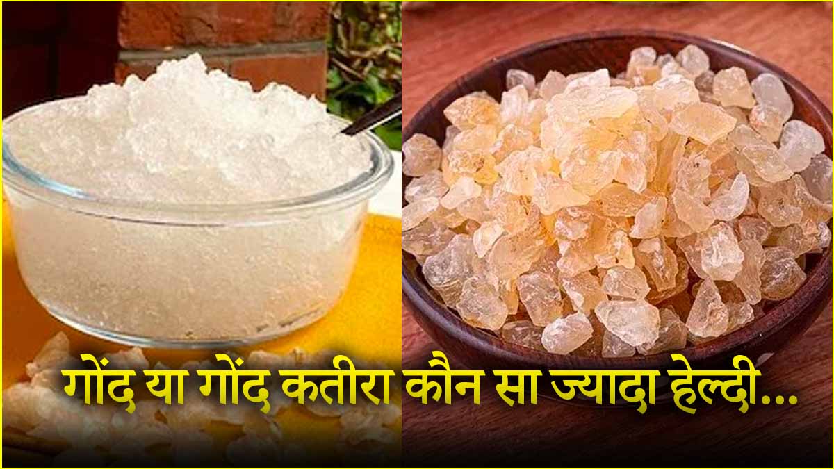 गोंद या गोंद कतीरा हेल्थ के लिए कौन सा ज्यादा बेहतर?