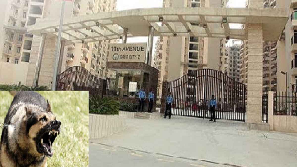 ग्रेटर नोएडा वेस्ट में नए नियम से पशु प्रेमियों पर सख्ती, कुत्ते ने अगर काटा तो कराना होगा इलाज