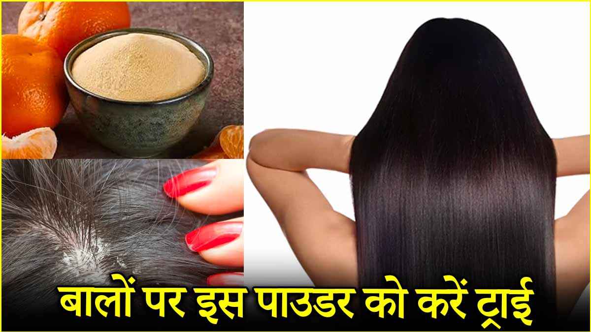 Hair Care Tips: रूसी और झड़ते बालों से हैं परेशान तो अपनाएं ये पाउडर, बालों को देंगे नई जान!
