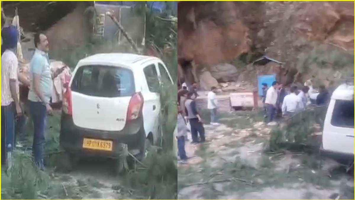 Strong Winds Uproot Trees In Himachal Tourist Area