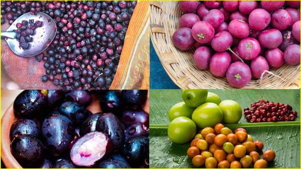 Mango नहीं गर्मियों के ये 7 फल भी हैं सेहत के लिए वरदान, जानें फायदे!