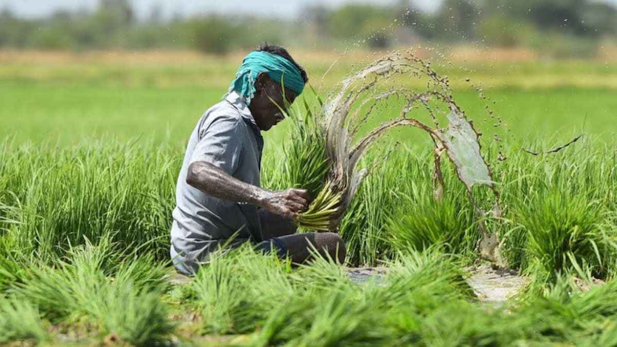 Insurance Claim For rajasthan farmers