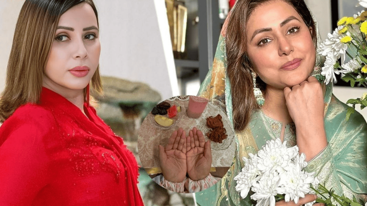 'लोग कुछ भी कहते रहें...', Rozlyn Khan के आरोपों पर Hina Khan ने फिर किया जवाबी हमला