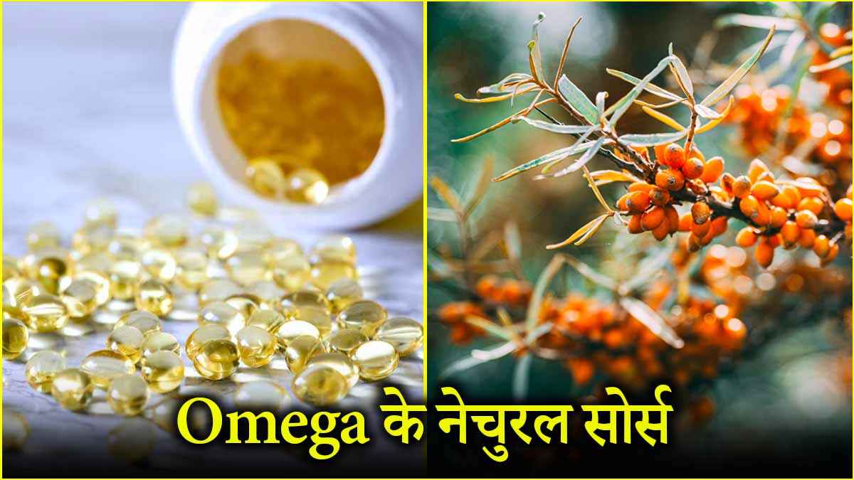 Omega 3, 6, 7 और 9 में क्या अंतर? फिश ऑयल किसका सोर्स? जानें एक्सपर्ट से