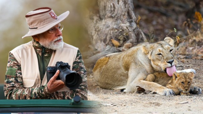 PM Modi World Wildlife Day PM Modi World Wildlife Day