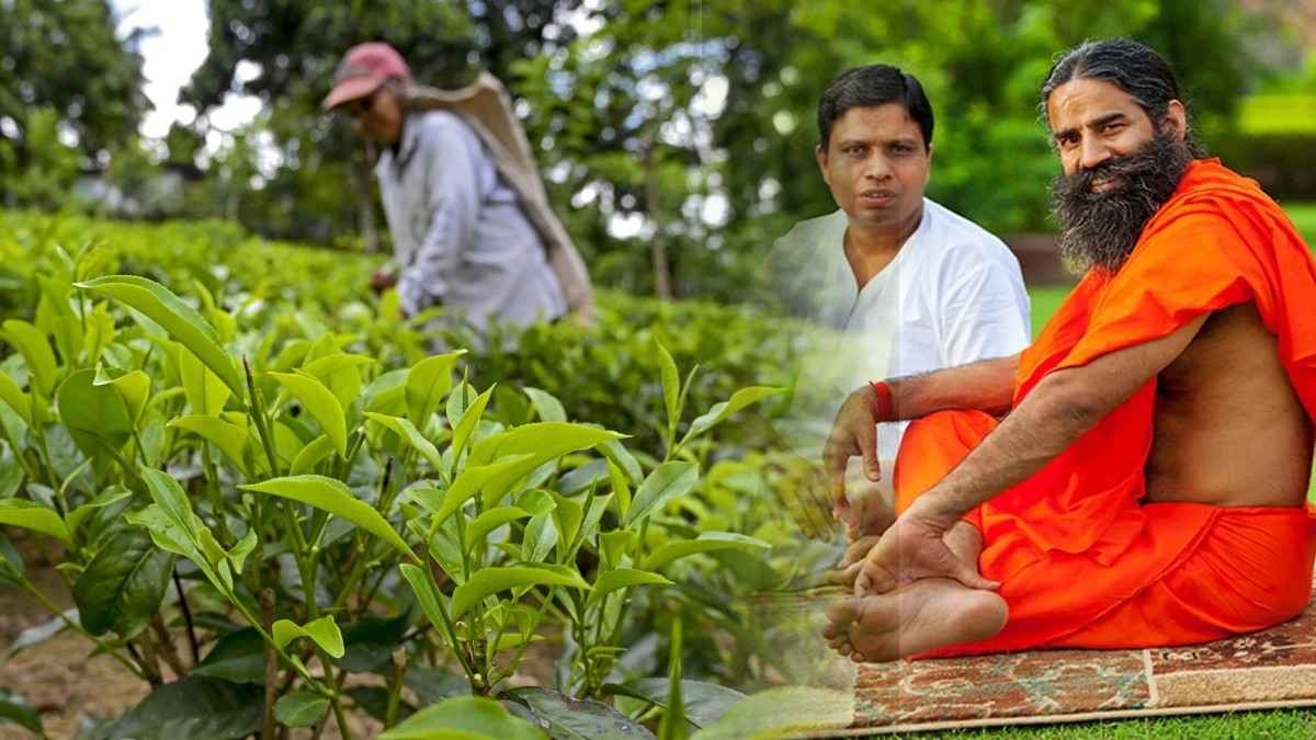 Patanjali agriculture